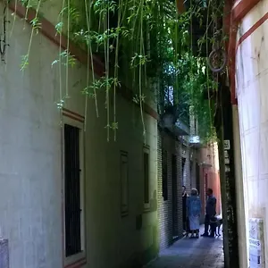 Calle 9 , Séville Espagne